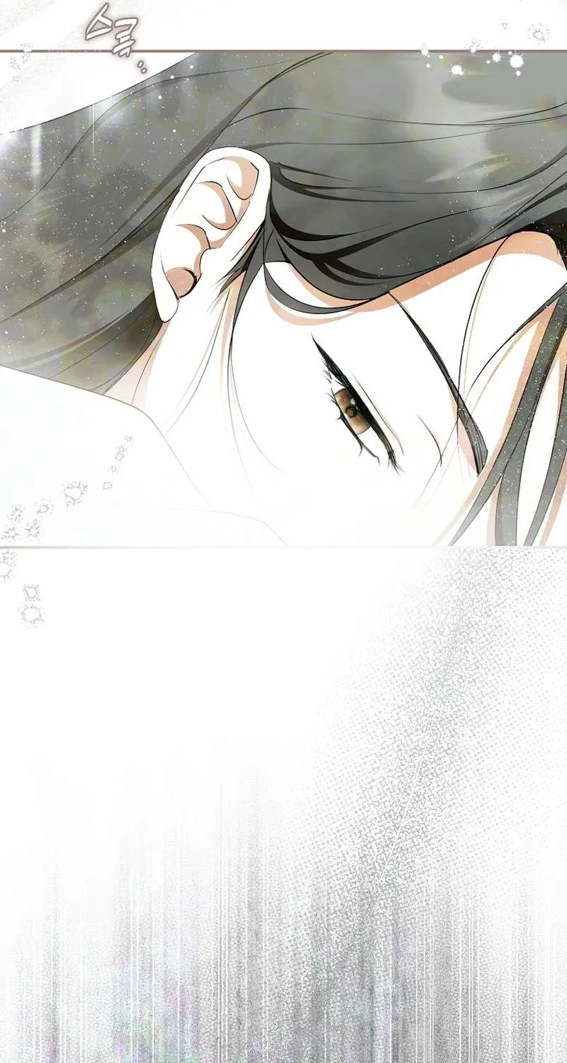 Các Nam Chính Đã Bị Nữ Phụ Cướp Mất