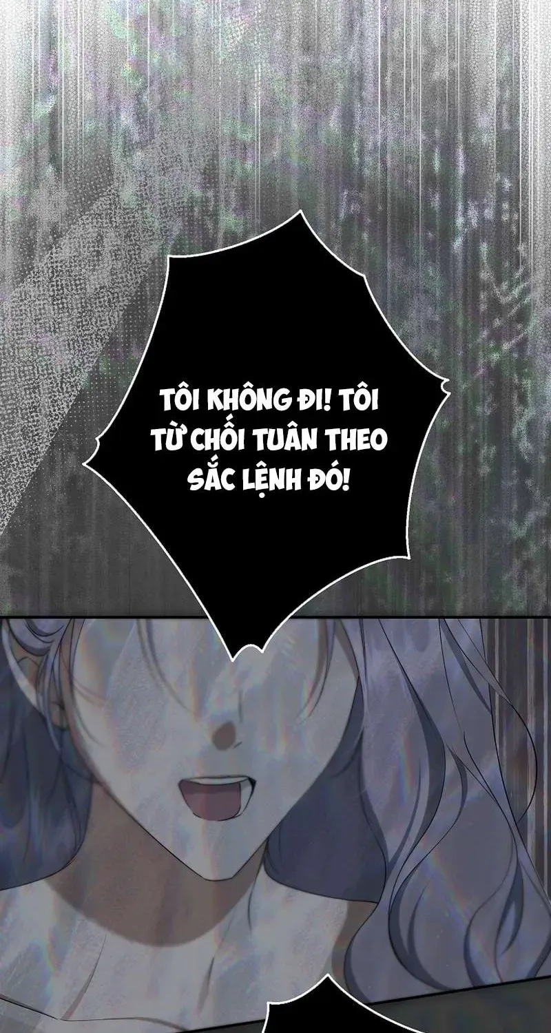 Các Nam Chính Đã Bị Nữ Phụ Cướp Mất