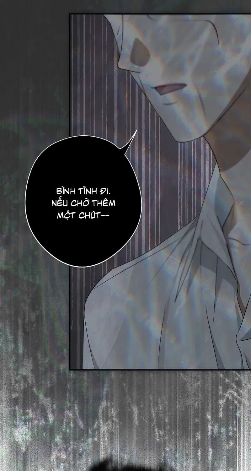 Các Nam Chính Đã Bị Nữ Phụ Cướp Mất