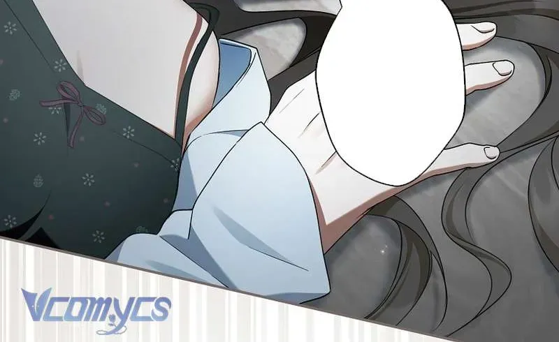 Các Nam Chính Đã Bị Nữ Phụ Cướp Mất