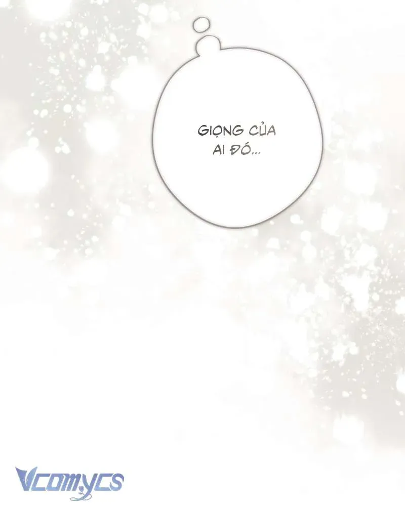 Các Nam Chính Đã Bị Nữ Phụ Cướp Mất