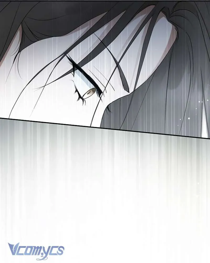 Các Nam Chính Đã Bị Nữ Phụ Cướp Mất