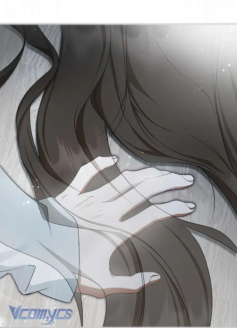 Các Nam Chính Đã Bị Nữ Phụ Cướp Mất