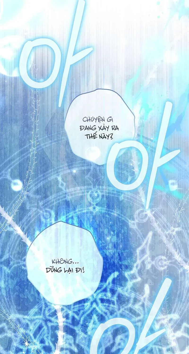 Các Nam Chính Đã Bị Nữ Phụ Cướp Mất