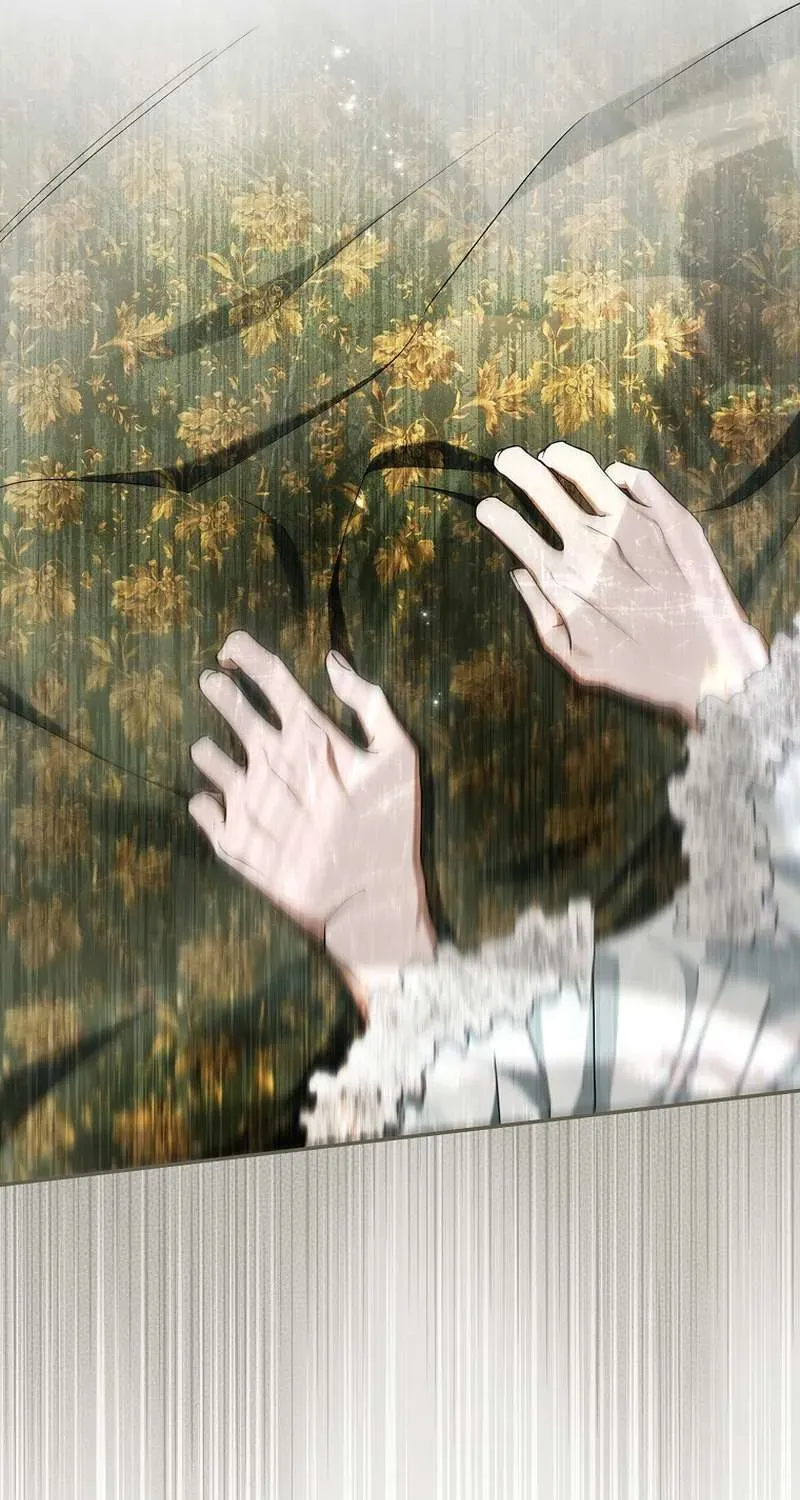 Các Nam Chính Đã Bị Nữ Phụ Cướp Mất