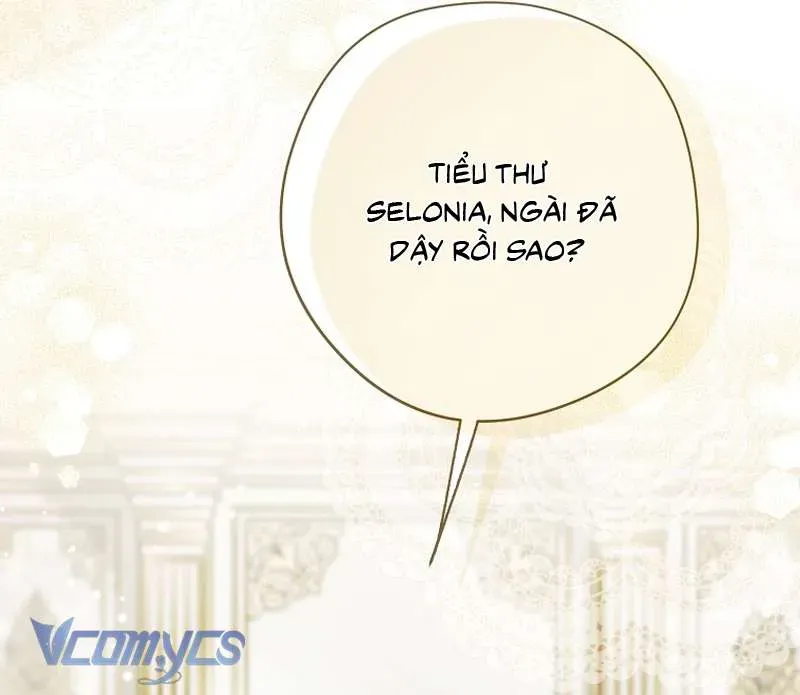 Các Nam Chính Đã Bị Nữ Phụ Cướp Mất