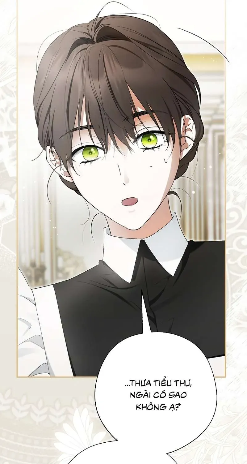 Các Nam Chính Đã Bị Nữ Phụ Cướp Mất