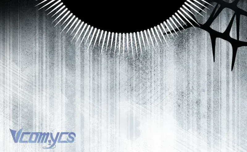 Các Nam Chính Đã Bị Nữ Phụ Cướp Mất