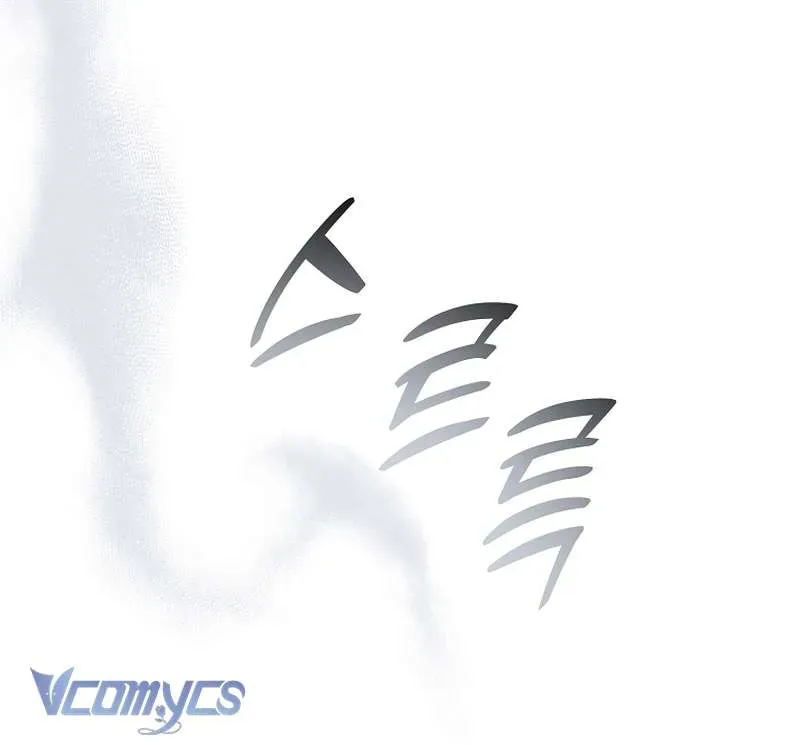 Các Nam Chính Đã Bị Nữ Phụ Cướp Mất