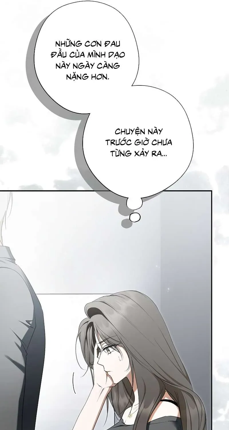 Các Nam Chính Đã Bị Nữ Phụ Cướp Mất