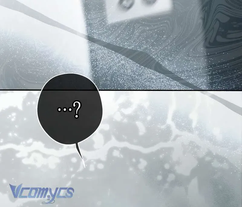 Các Nam Chính Đã Bị Nữ Phụ Cướp Mất