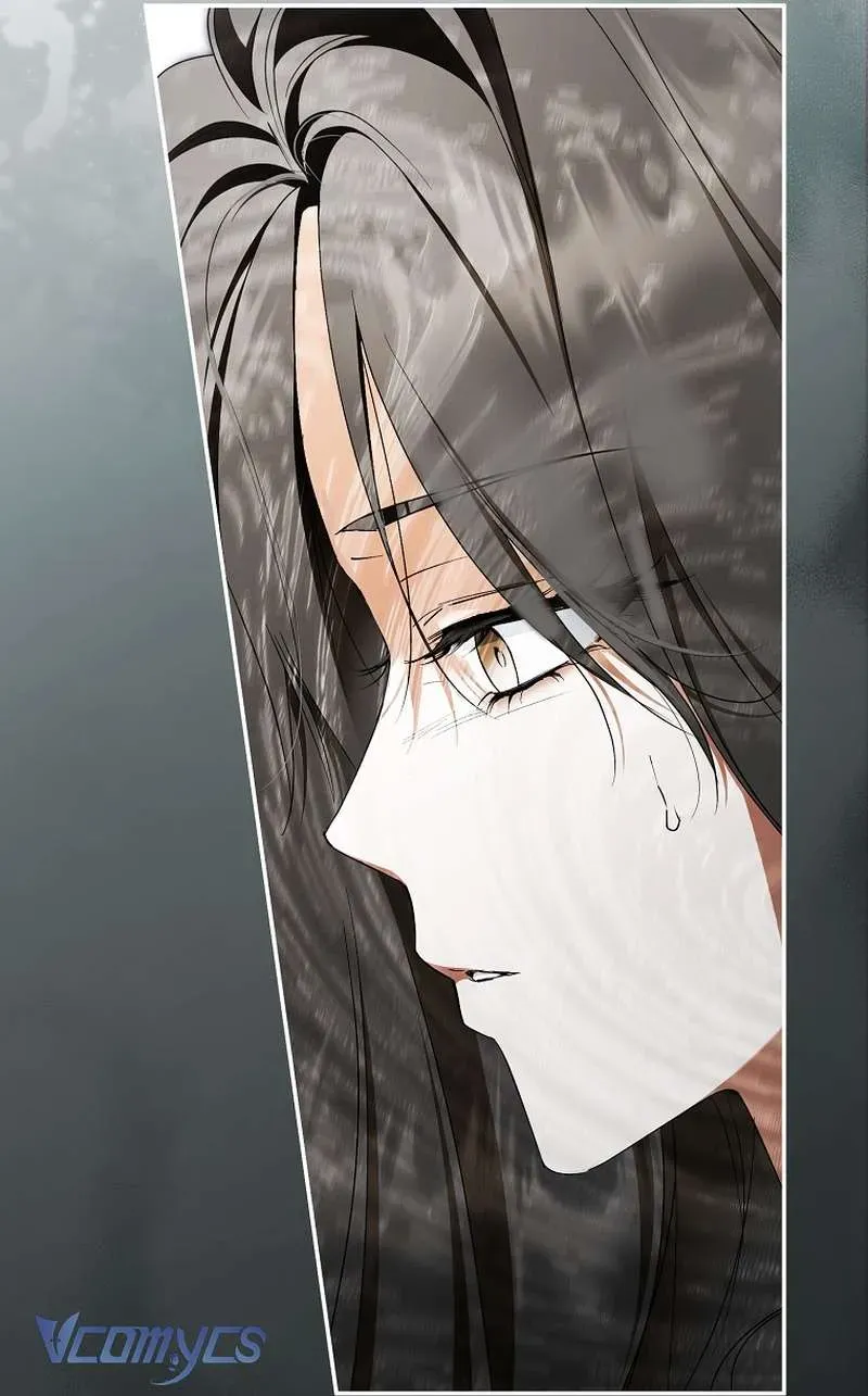 Các Nam Chính Đã Bị Nữ Phụ Cướp Mất