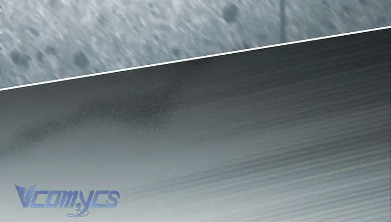 Các Nam Chính Đã Bị Nữ Phụ Cướp Mất