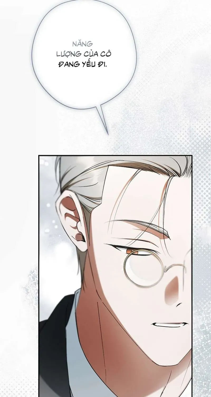 Các Nam Chính Đã Bị Nữ Phụ Cướp Mất