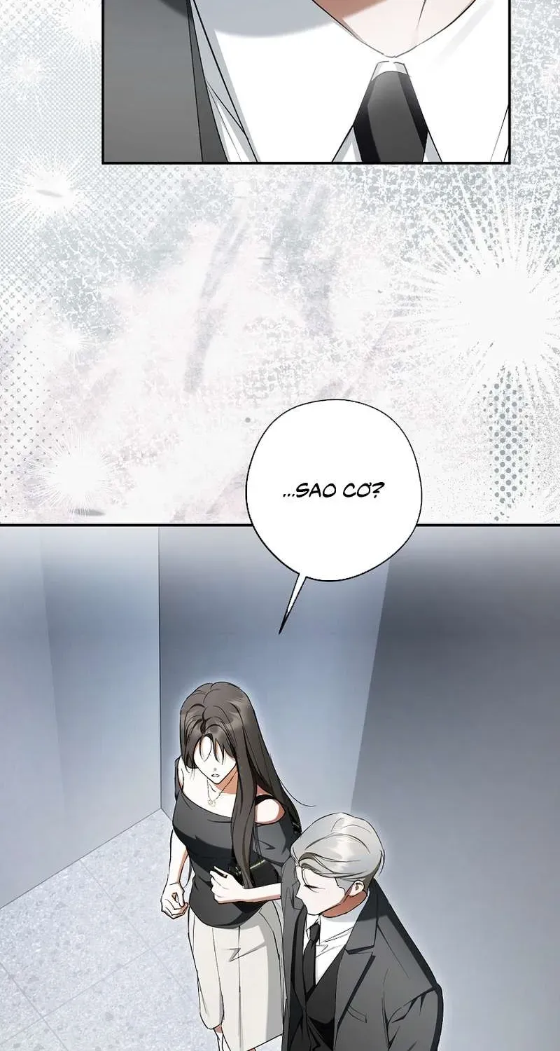 Các Nam Chính Đã Bị Nữ Phụ Cướp Mất