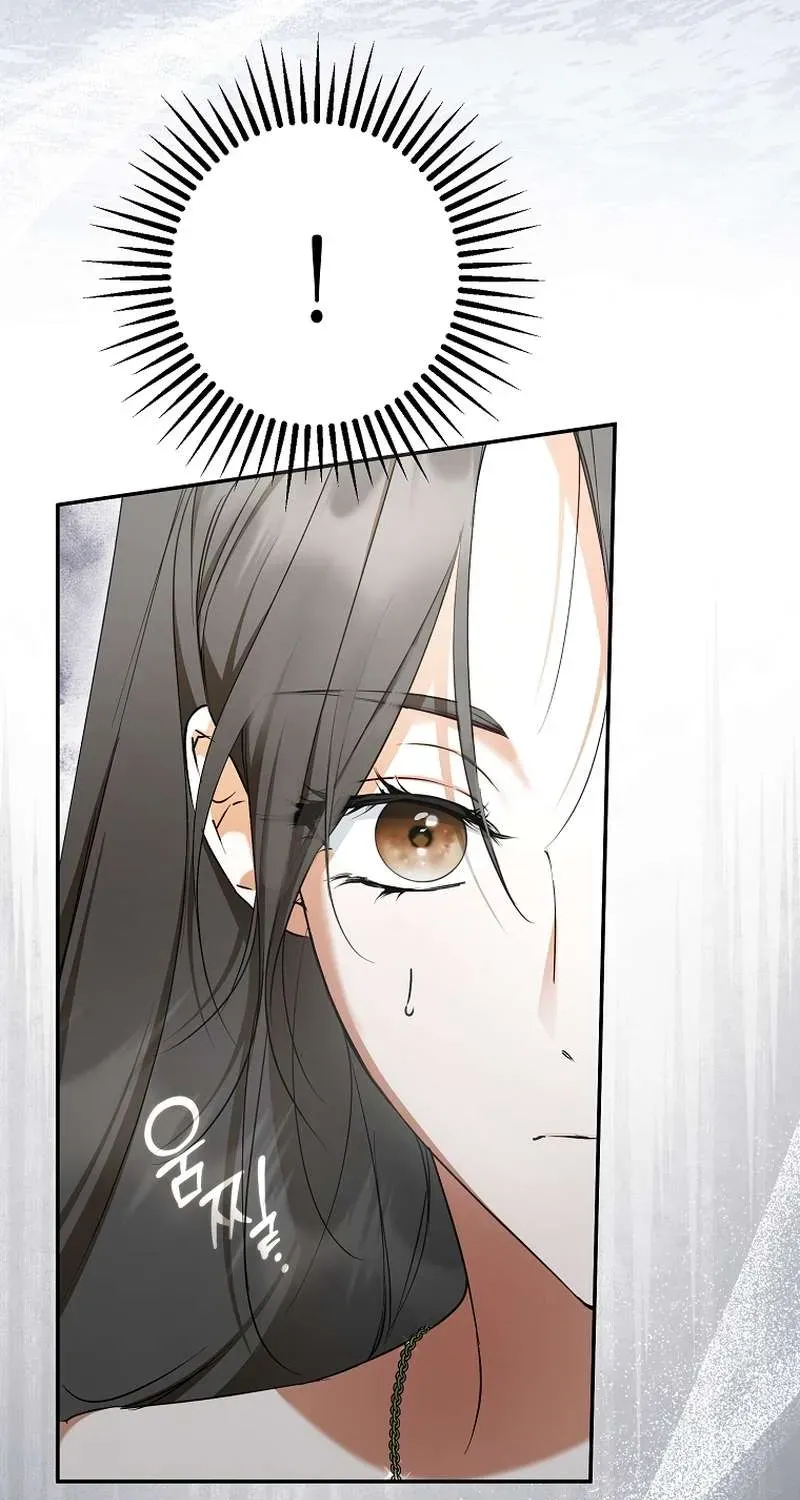 Các Nam Chính Đã Bị Nữ Phụ Cướp Mất