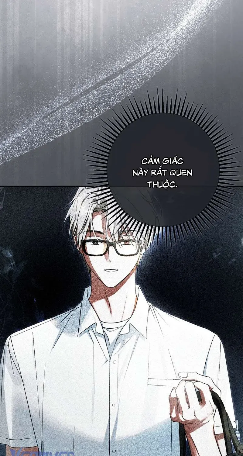 Các Nam Chính Đã Bị Nữ Phụ Cướp Mất