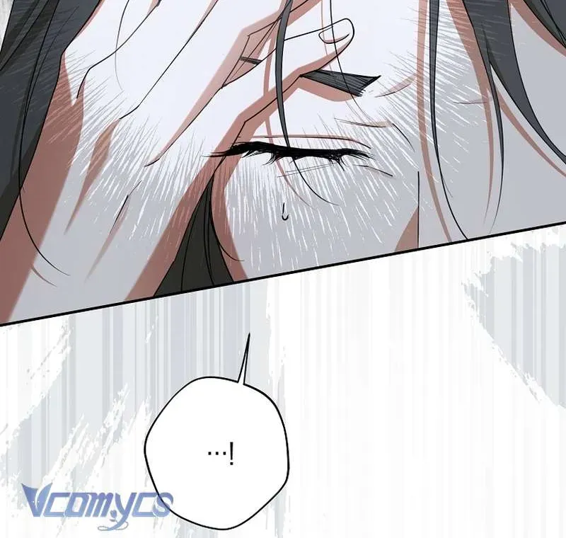 Các Nam Chính Đã Bị Nữ Phụ Cướp Mất