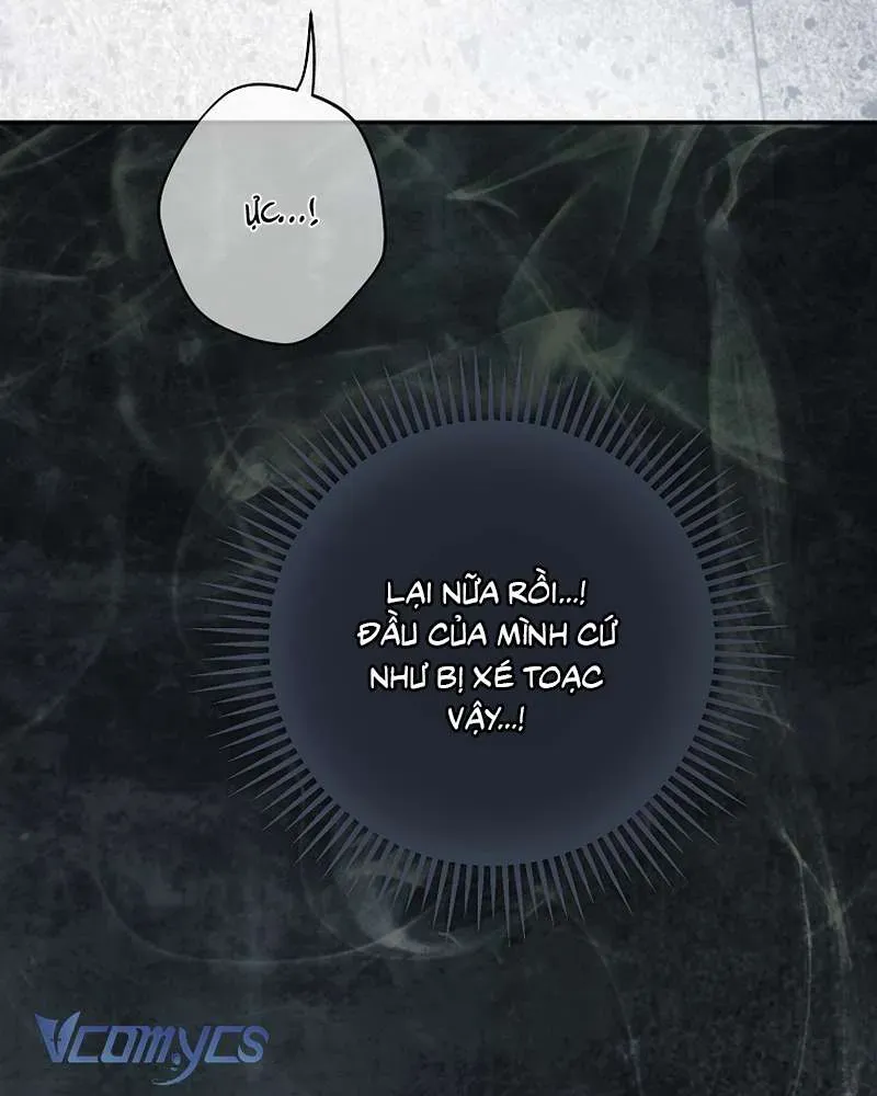 Các Nam Chính Đã Bị Nữ Phụ Cướp Mất