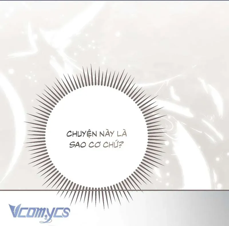 Các Nam Chính Đã Bị Nữ Phụ Cướp Mất