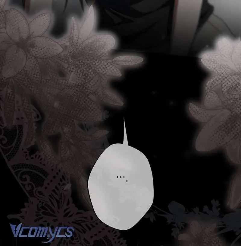 Các Nam Chính Đã Bị Nữ Phụ Cướp Mất