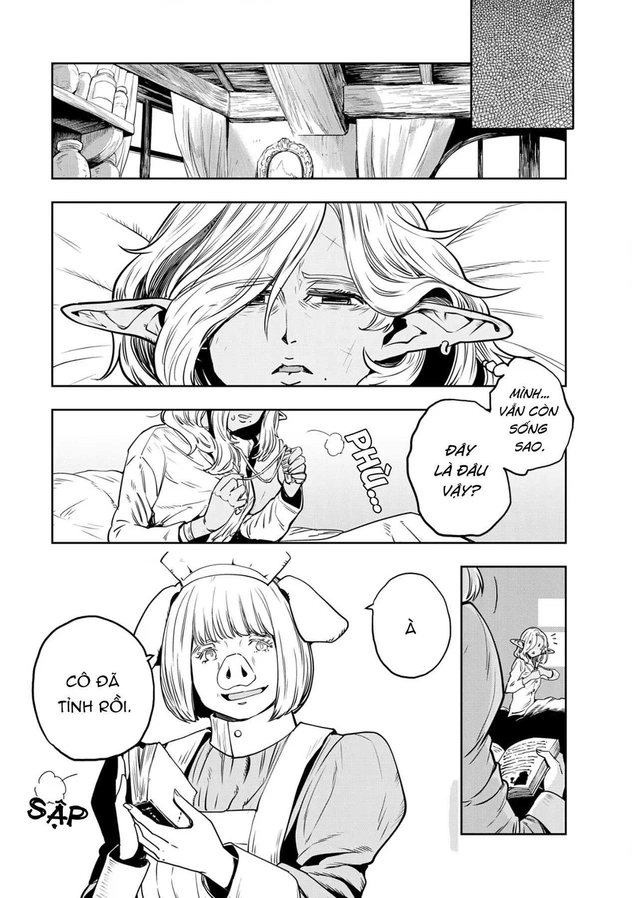 Biên Niên Sử Vương Quốc Orcsen - Vương Quốc Orc Mọi Rợ Đã Thiêu Rụi Vùng Đất Tiên Tộc Hiền Hòa Như Thế Nào?