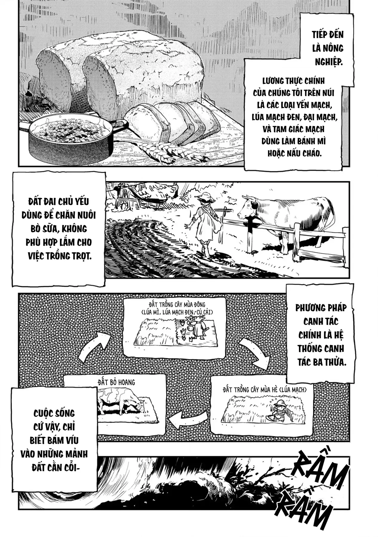 Biên Niên Sử Vương Quốc Orcsen - Vương Quốc Orc Mọi Rợ Đã Thiêu Rụi Vùng Đất Tiên Tộc Hiền Hòa Như Thế Nào?