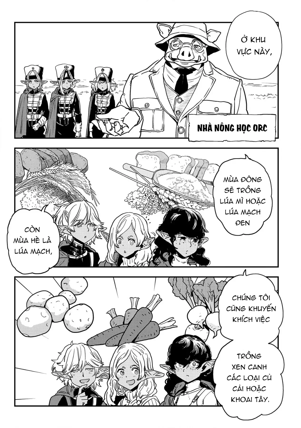 Biên Niên Sử Vương Quốc Orcsen - Vương Quốc Orc Mọi Rợ Đã Thiêu Rụi Vùng Đất Tiên Tộc Hiền Hòa Như Thế Nào?