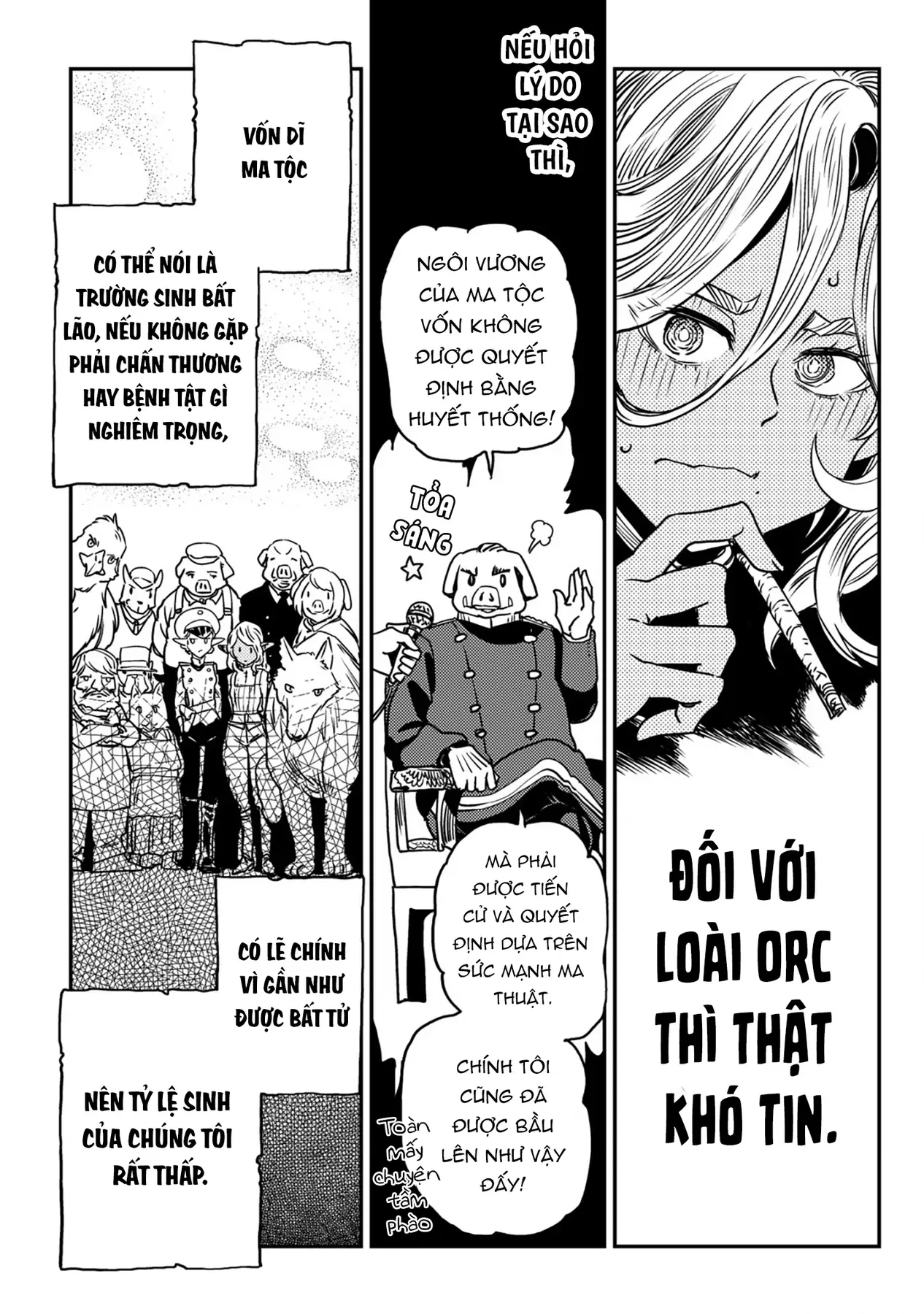 Biên Niên Sử Vương Quốc Orcsen - Vương Quốc Orc Mọi Rợ Đã Thiêu Rụi Vùng Đất Tiên Tộc Hiền Hòa Như Thế Nào?