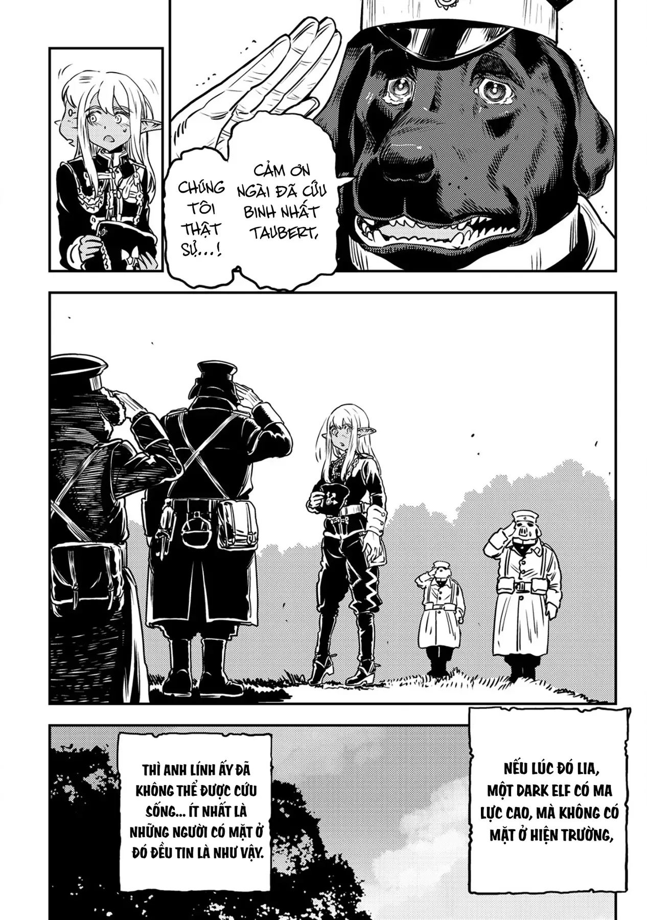 Biên Niên Sử Vương Quốc Orcsen - Vương Quốc Orc Mọi Rợ Đã Thiêu Rụi Vùng Đất Tiên Tộc Hiền Hòa Như Thế Nào?