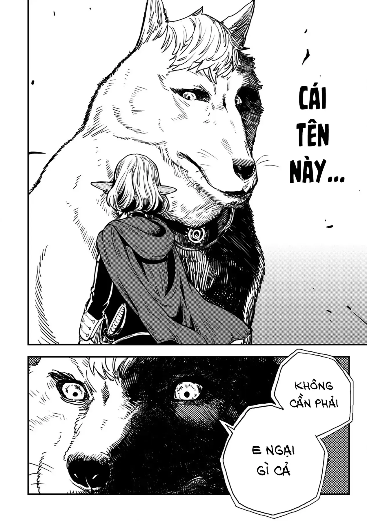 Biên Niên Sử Vương Quốc Orcsen - Vương Quốc Orc Mọi Rợ Đã Thiêu Rụi Vùng Đất Tiên Tộc Hiền Hòa Như Thế Nào?