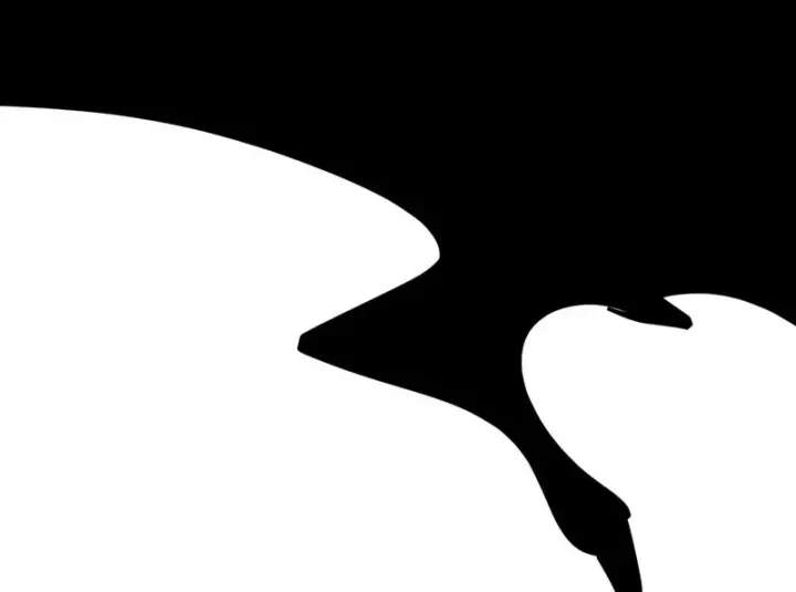 Tiên Tử, Hãy Nghe Ta Giải Thích - Chương 48 - Trang 88