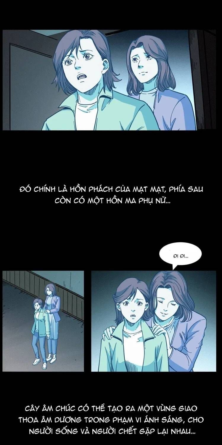 Chapter 562 trang 13