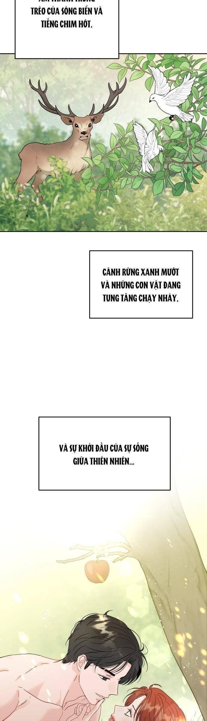 Chapter 106 trang 31