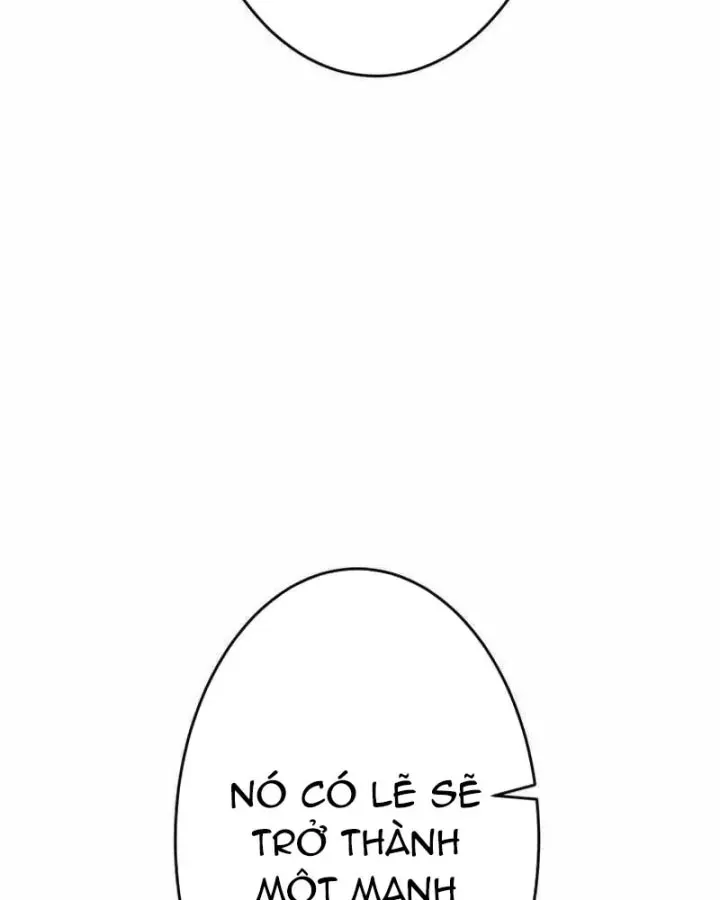 Anh Hùng Tái Xuất Học Viện