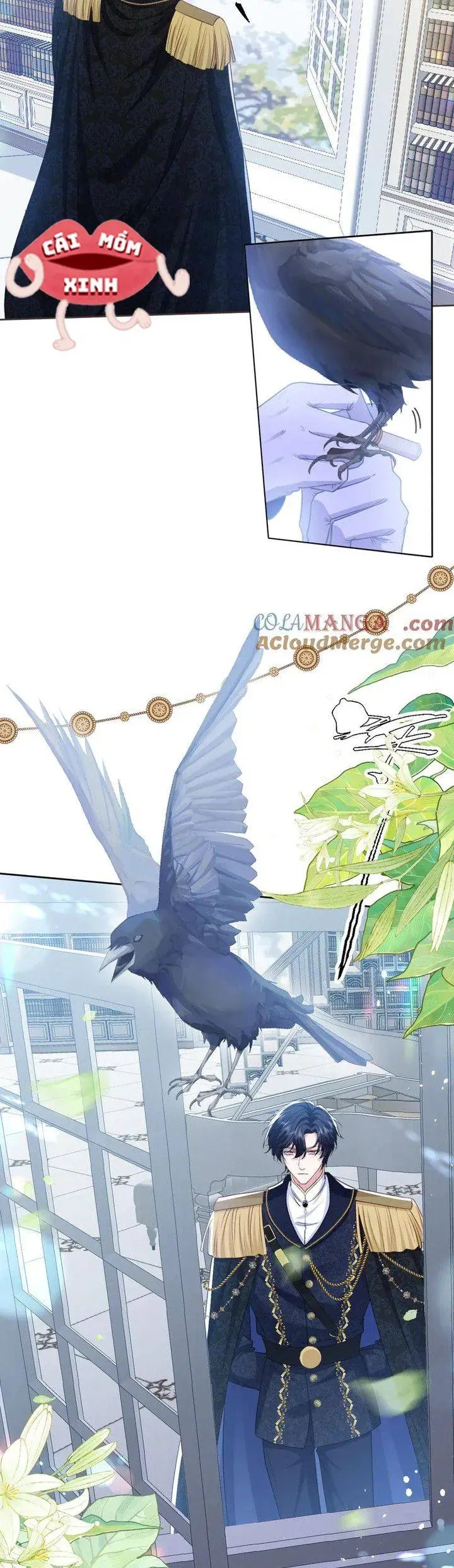 Bày Tỏ Với Người Nguy Hiểm Như Anh Ấy