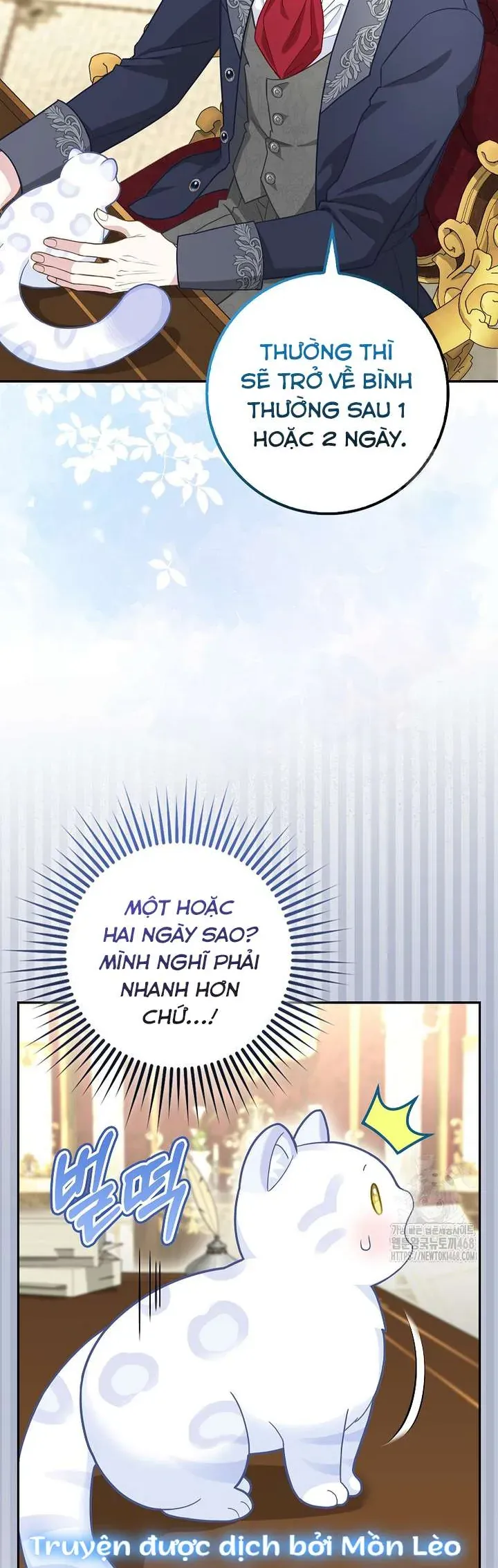 Tiểu Thư Báo Tuyết Của Gia Tộc Báo Đen - Chương 21 - Trang 27