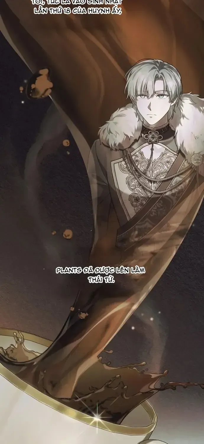 Tái Sinh Thành Hoàng Tử Của Quốc Gia Kẻ Địch - Chương 95 - Trang 49