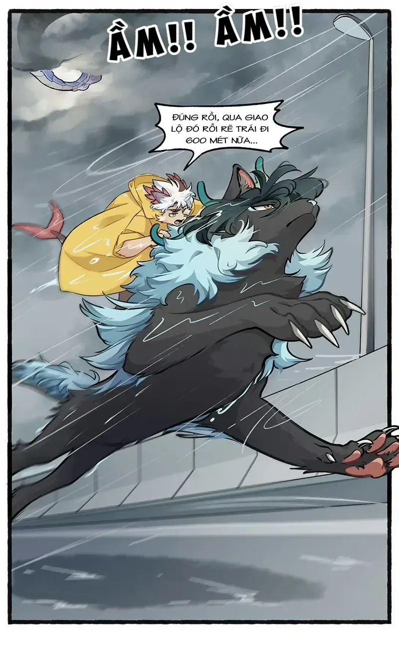 Cẩu Ngư Chi Tấu