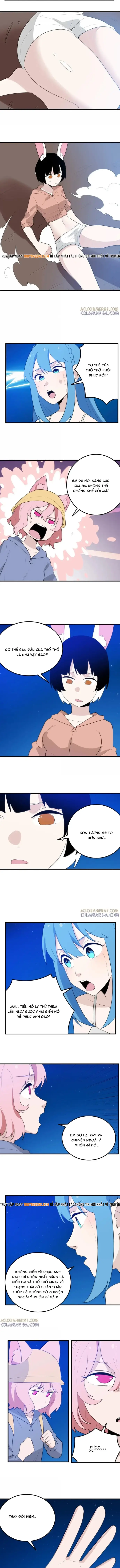 Bổn Thánh Nữ Ngã Bài Rồi