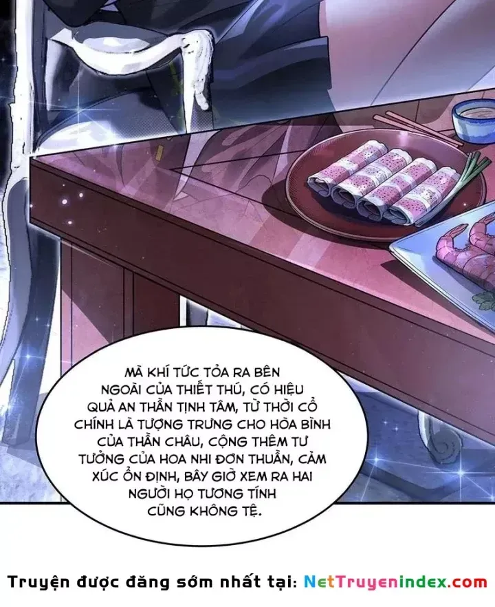 Các Nữ Đồ Đệ Của Ta Đều Là Chư Thiên Đại Lão Tương Lai