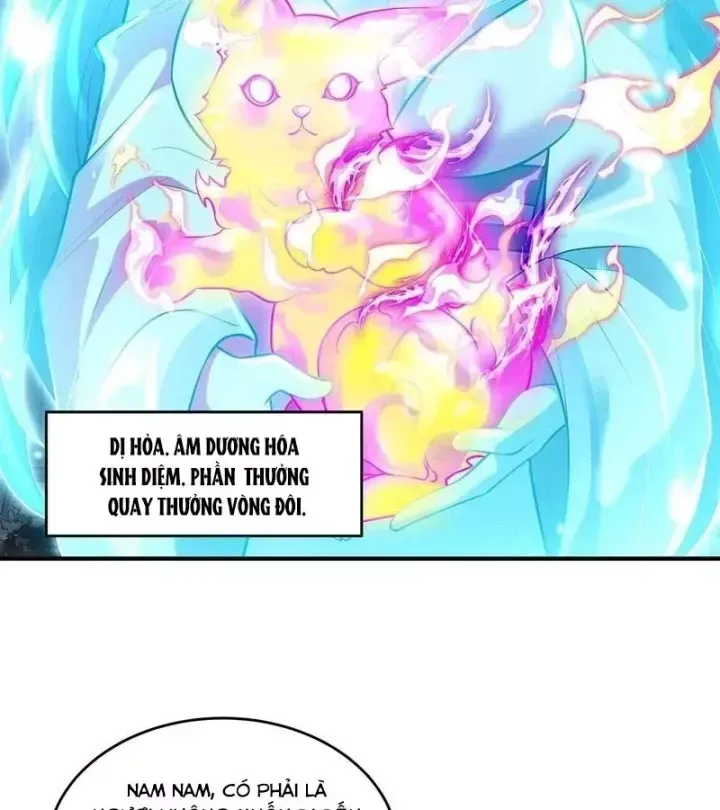 Các Nữ Đồ Đệ Của Ta Đều Là Chư Thiên Đại Lão Tương Lai