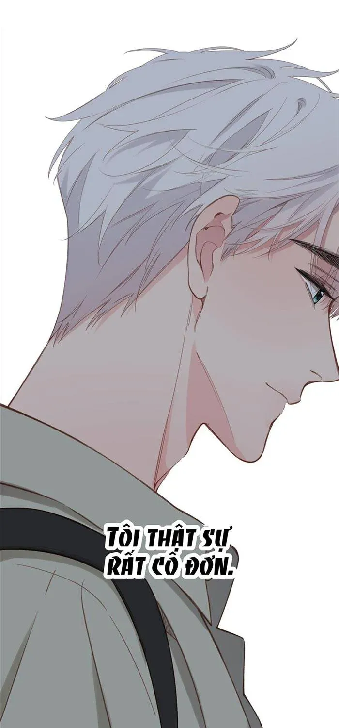 Tố Hồi Xuân Thời - Chương 71 - Trang 20