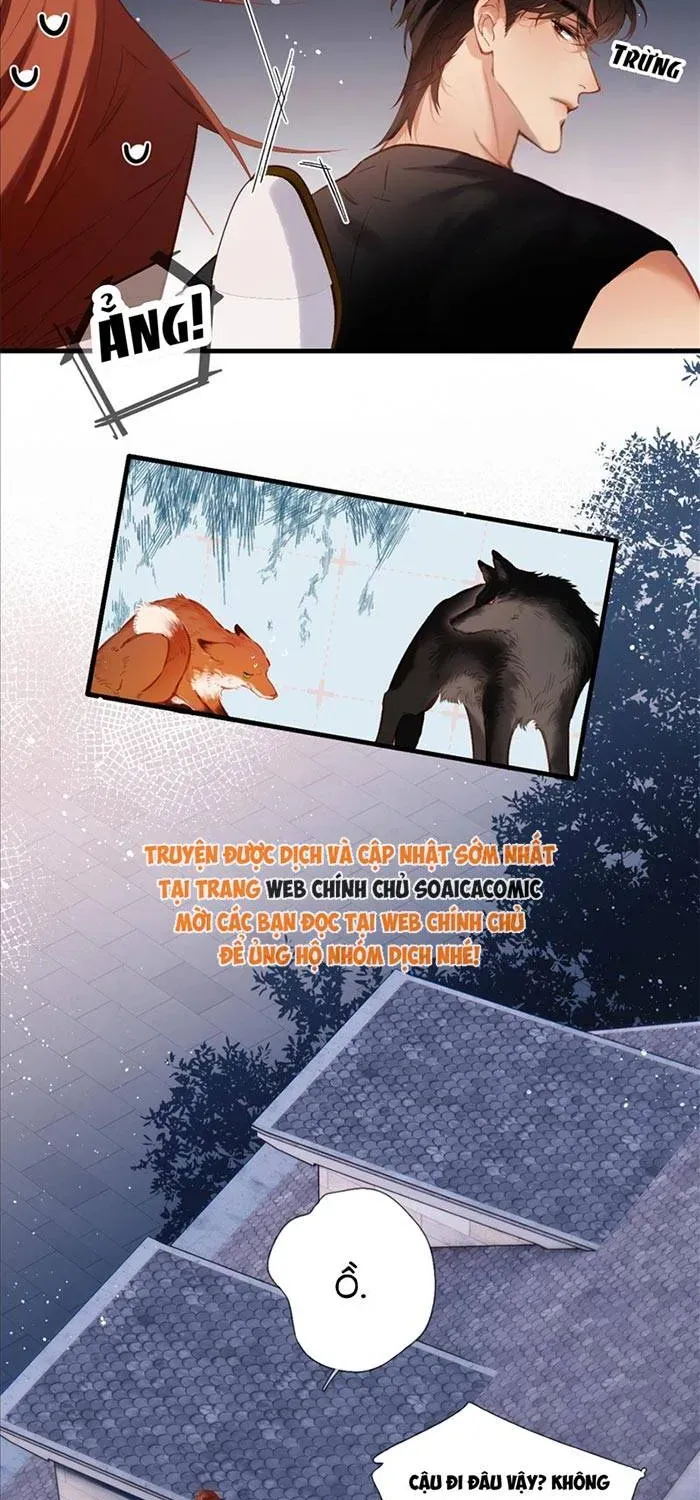 Tố Hồi Xuân Thời - Chương 71 - Trang 3