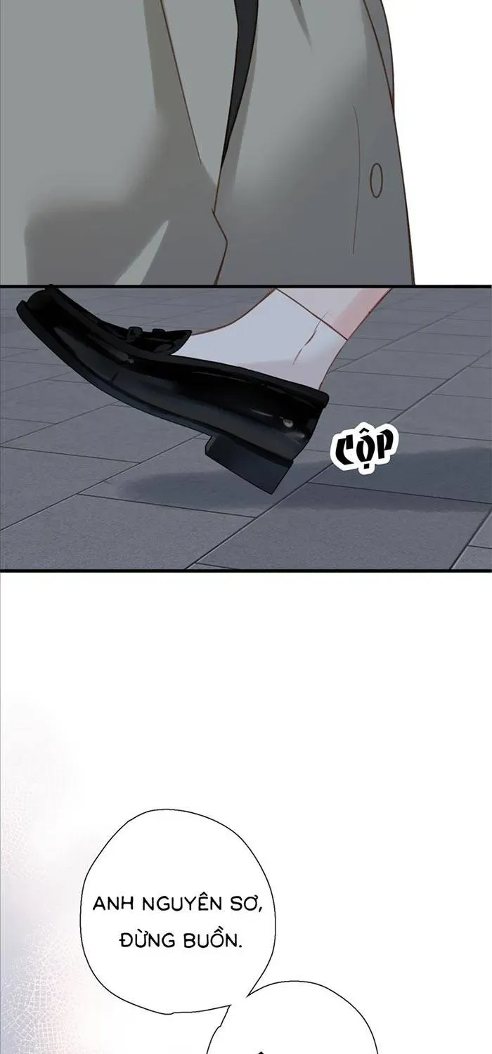 Tố Hồi Xuân Thời - Chương 71 - Trang 21