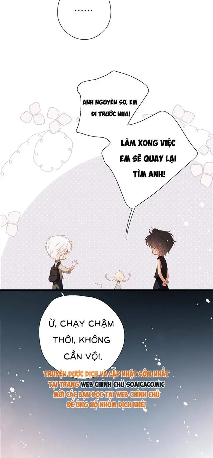 Tố Hồi Xuân Thời - Chương 71 - Trang 31