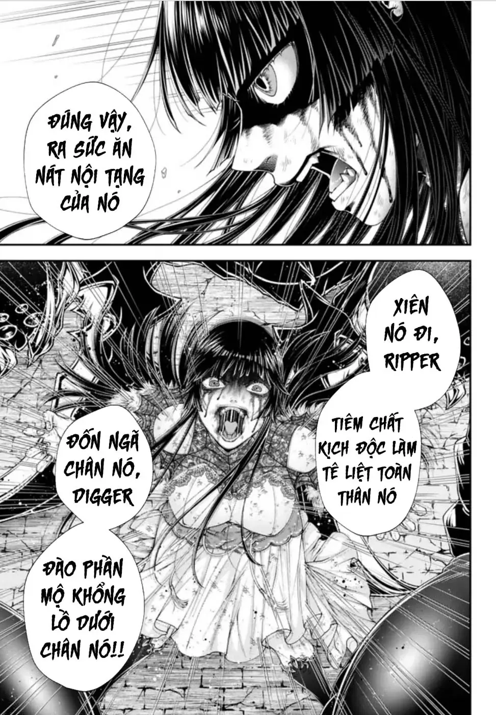 Chiến Lược Dị Giới Của Nữ Vương Swarm