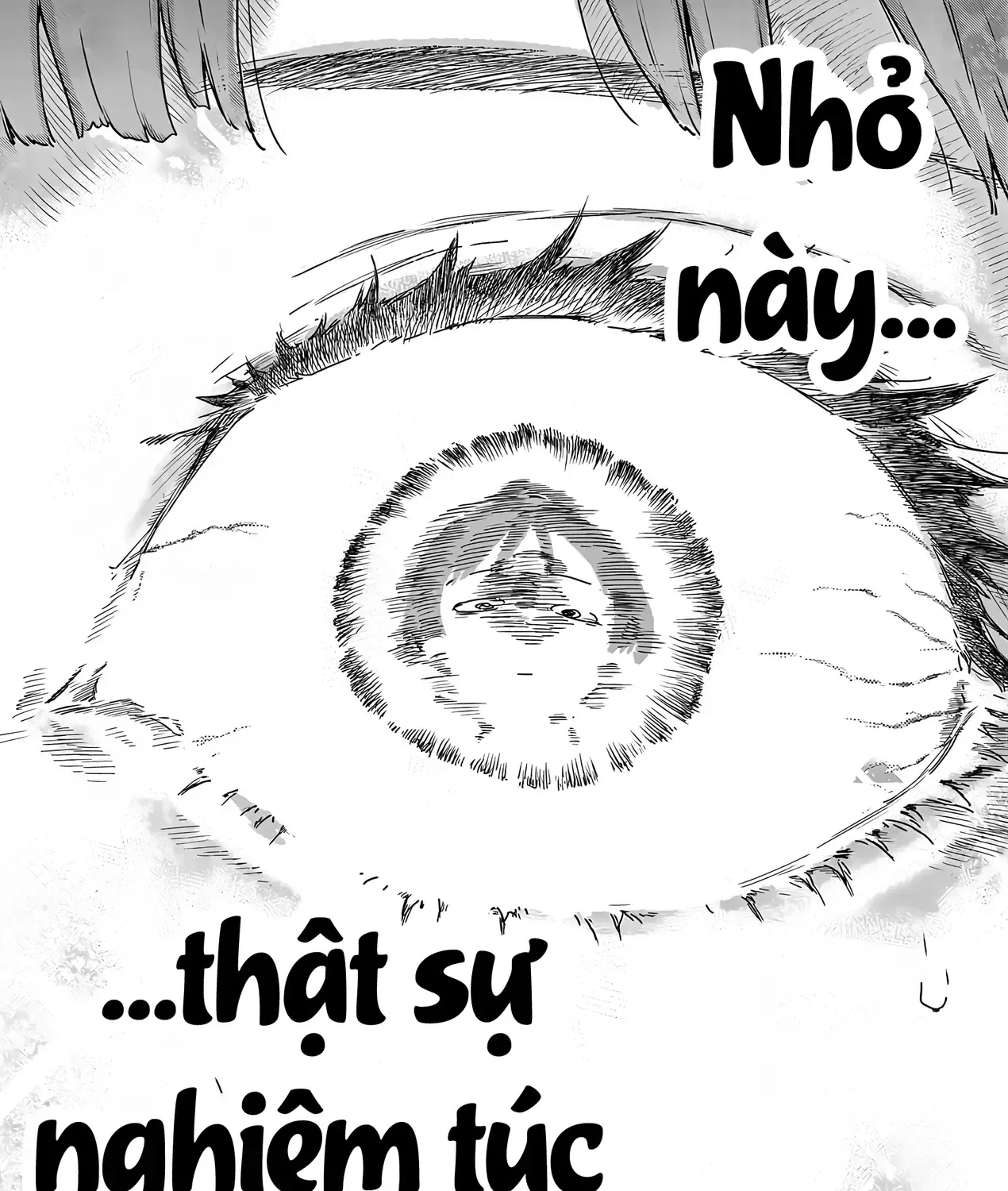 Có Quá Nhiều Nữ Chính Thua Cuộc! Chap 21 - Next Chap 20