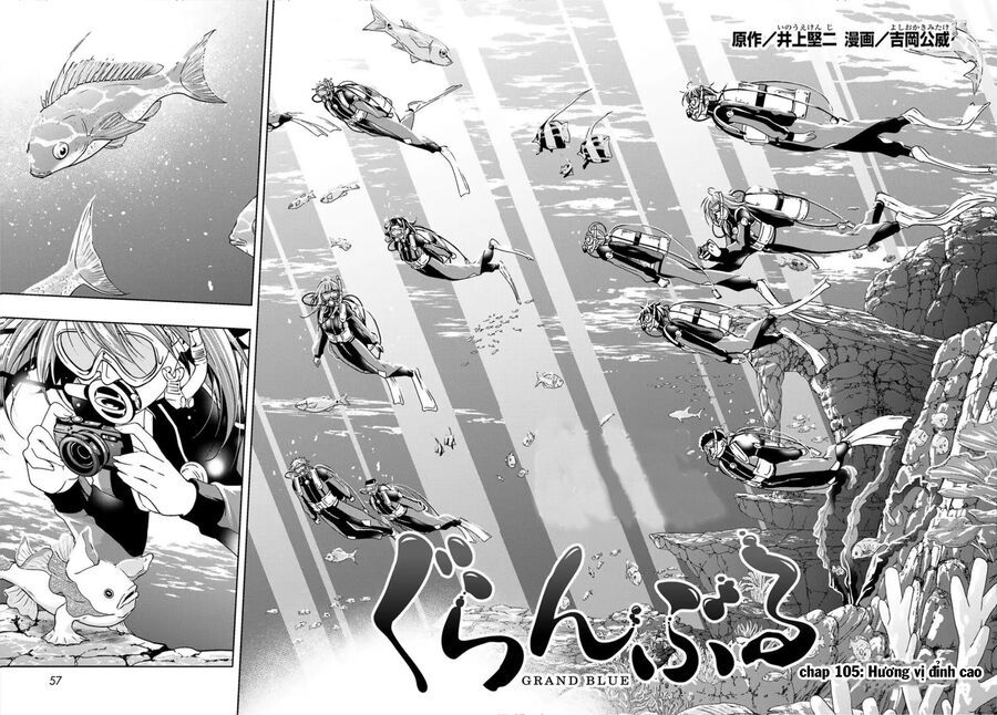 Grand Blue Chap 105 - Next Chap 104