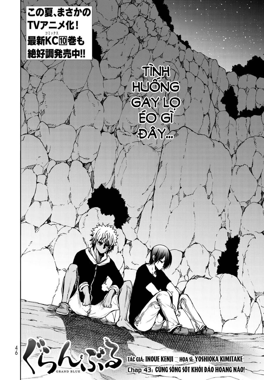 Grand Blue Chap 43 - Next Chap 42